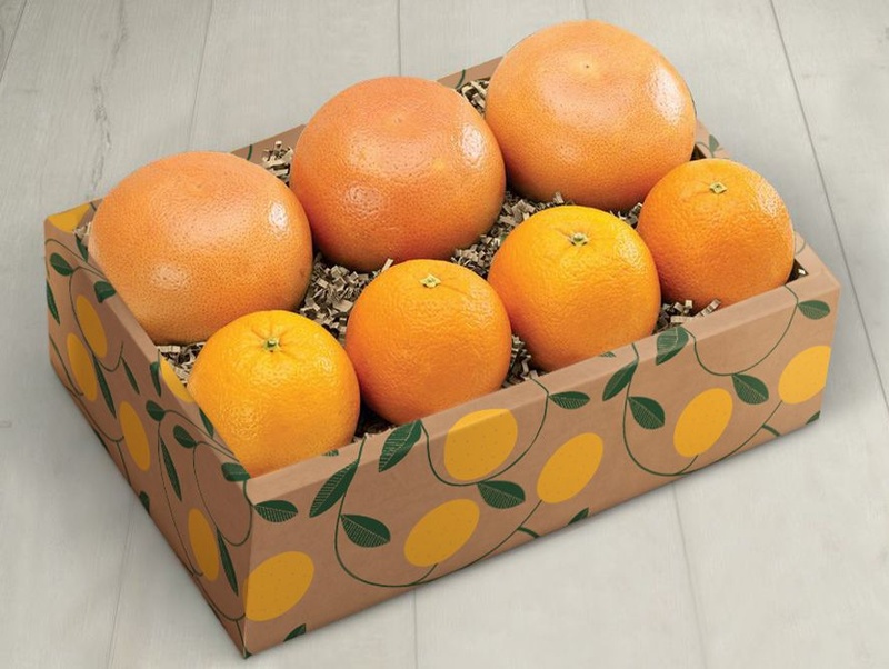Navel Oranges Pack
