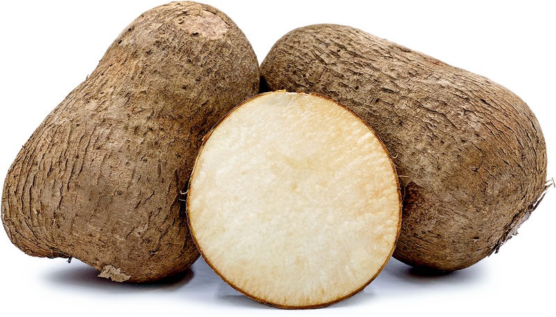Name Yam
