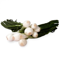 River Fresh Farms Green Onions