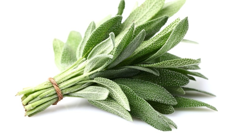 Sage