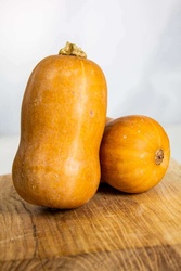 Honey Nut Squash