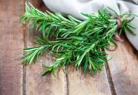 Rosemary