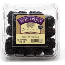 Blackberry