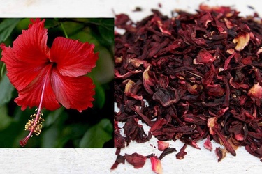Hibiscus 160 G