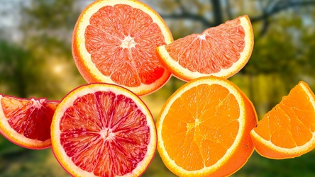 Seedless Blood Oranges Each