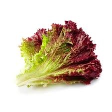Red Leaf Lettuce Each