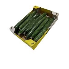 Curly Cucumber Box 25 Lb Each