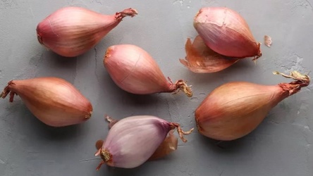 Onions Shallots