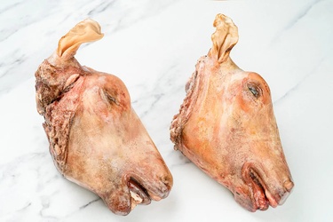 Lamb/Goat Head