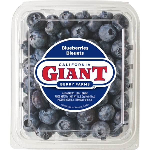 Fresh Blueberries, 1 Pint
