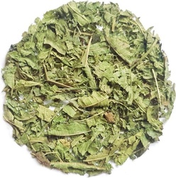 Verveine