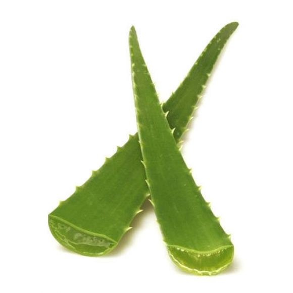 Aloe Vera Leaves Each