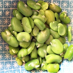 Broad Beans 400G