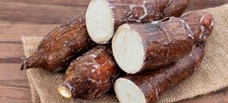Yucca Roots