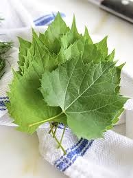 Grape Leaves
