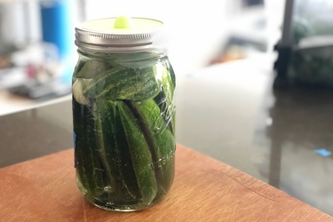 Mawaas Cucum In Brin