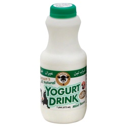Karoun Yogurt Drink, Mint Flavor 1 Pt
