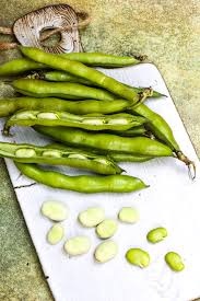 Fava Beans 16Oz