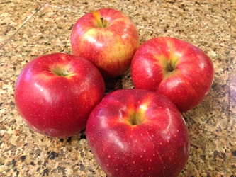 Apples Kiku