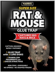 Harris Rat And Mouse Glue Trap, Super Size