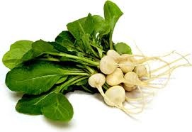 Baby Radish Daikon