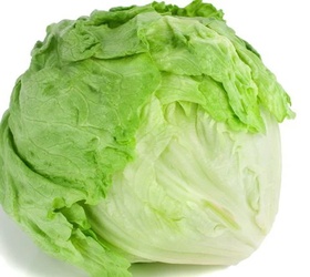 Romani H Lettuce