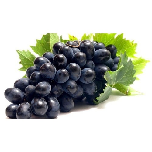 Grapes Black Seedless