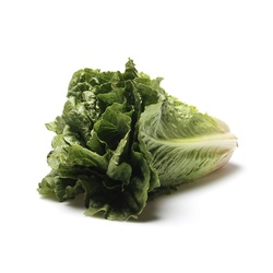 Lettuce Romaine Heart