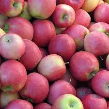 Small Pink Lady Apple