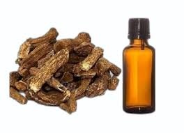 Costus Roots Oil 30 Ml