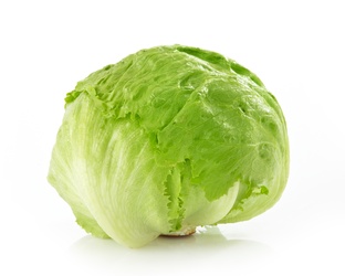 Foxy Iceberg Head Lettuce