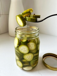 Pickled Cucumber