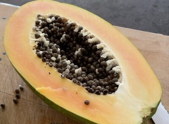 Papaya Meridol