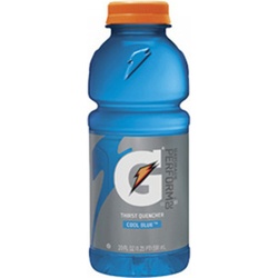 Gatorade Thirst Quencher, Cool Blue 20 Fl Oz