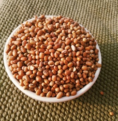 Red Cow Peas