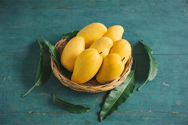 Champaign Mangoes Each