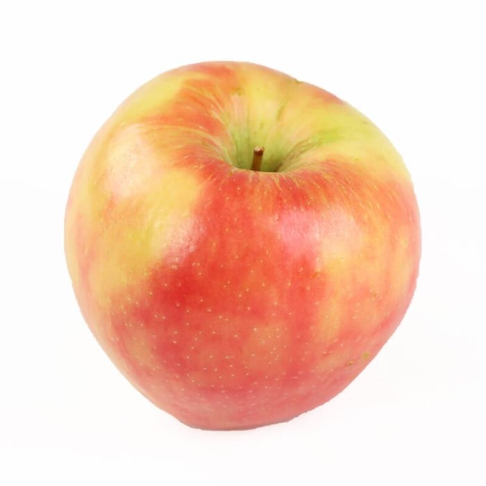 Honey Crisp Apple