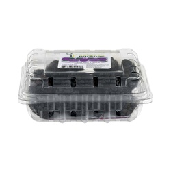 Nature's Partner Blackberries