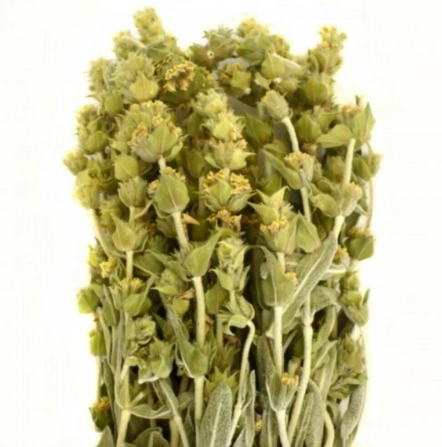 Mountain Tea