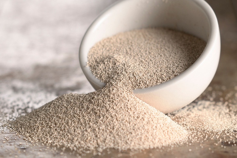Yeast