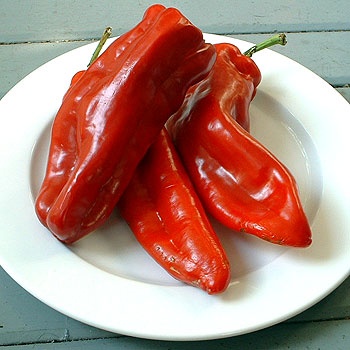Red Shepherd Pepper