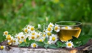 Franch Chamomile Tea