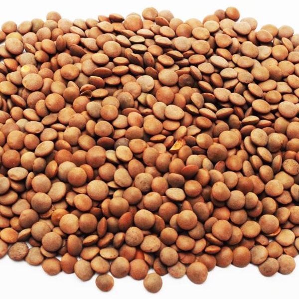 Brown Lentils 2Lb
